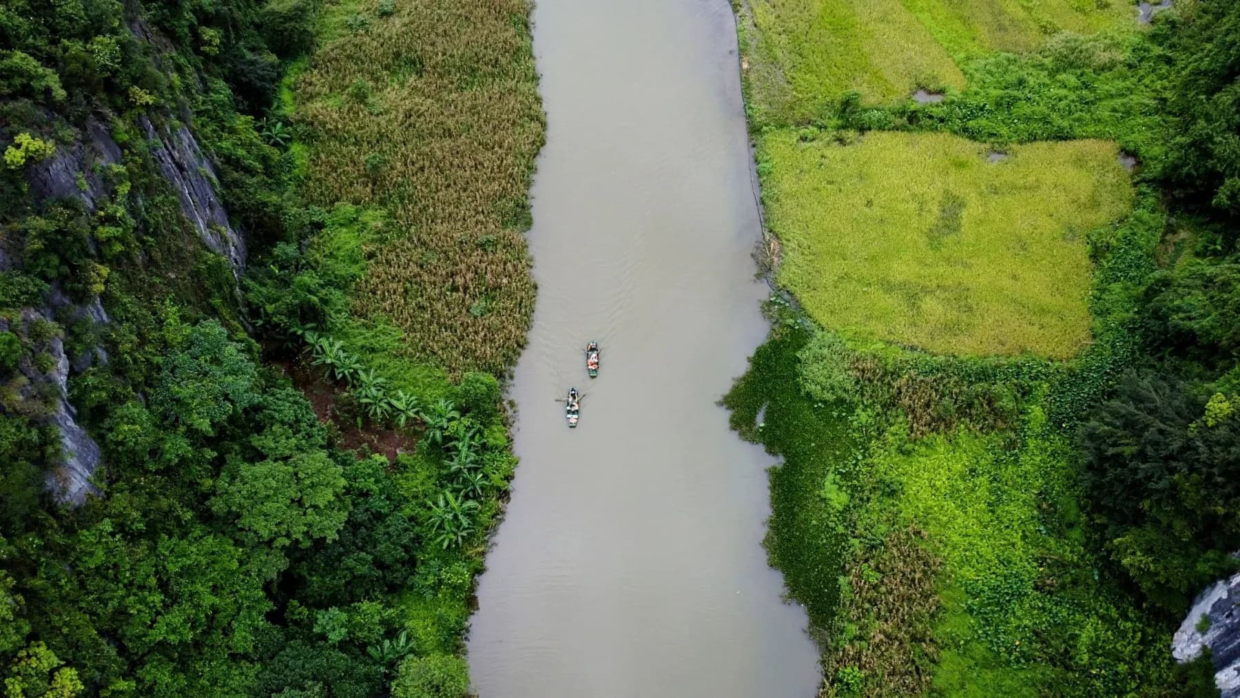 Lanskap karst hijau di Ninh Binh, Vietnam