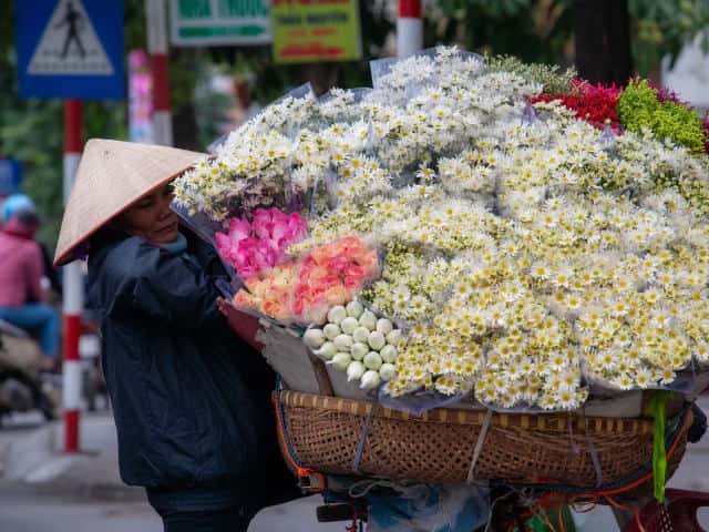 Gambaran destinasi untuk Hanoi, Pelayaran Harian Teluk Halong / Tur SIC