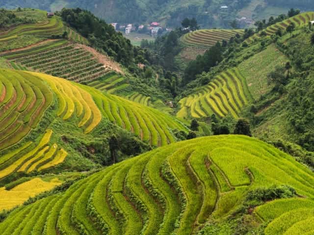 Gambaran destinasi untuk Tiba di Hanoi, Tur Kota Sore