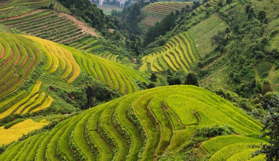 4 Hari 3 Malam Vietnam Utara dengan Sapa