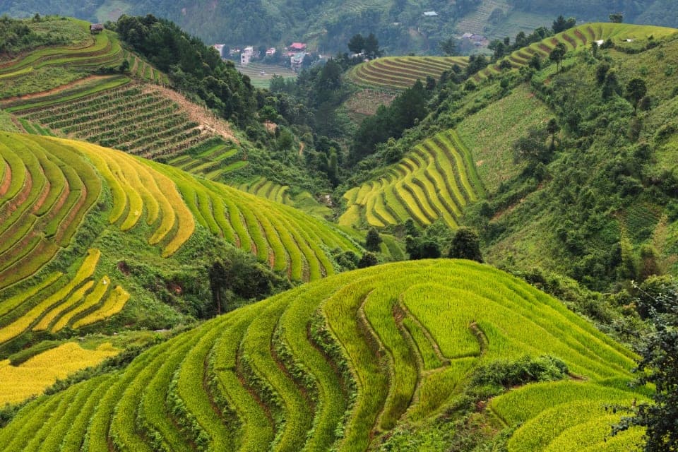 Gambaran perjalanan Hari 1: Tiba di Hanoi - Tur Kota Sore